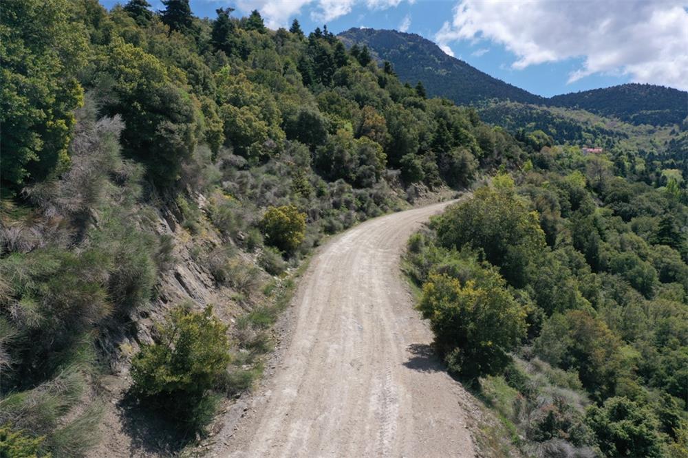 Ορεινό κύκλωμα Κισσάβου: Το δρόμο Σπηλιά – Ανατολή βελτιώνει η Περιφέρεια Θεσσαλίας
