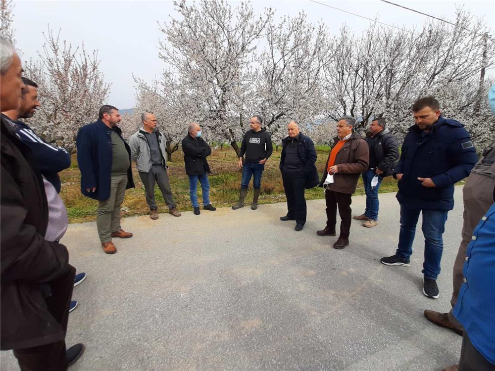 Κλιμάκιο της Περιφέρειας Θεσσαλίας   στις  παγετόπληκτες καλλιέργειες Τεμπών και Τυρνάβου 