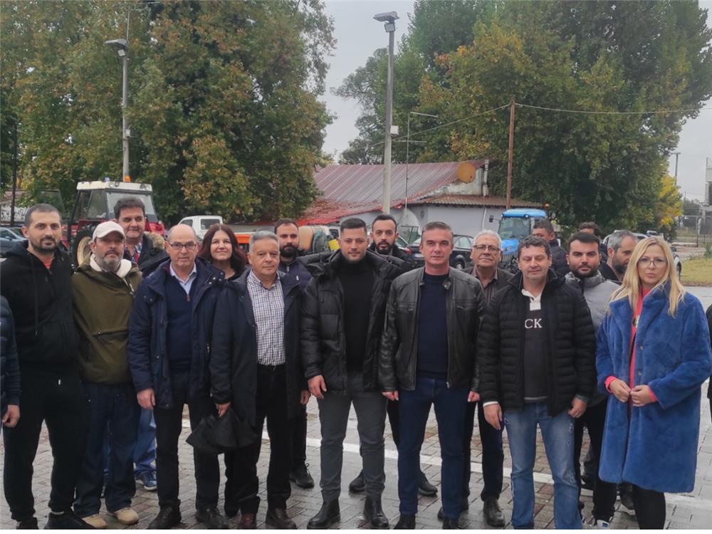 deltio typou