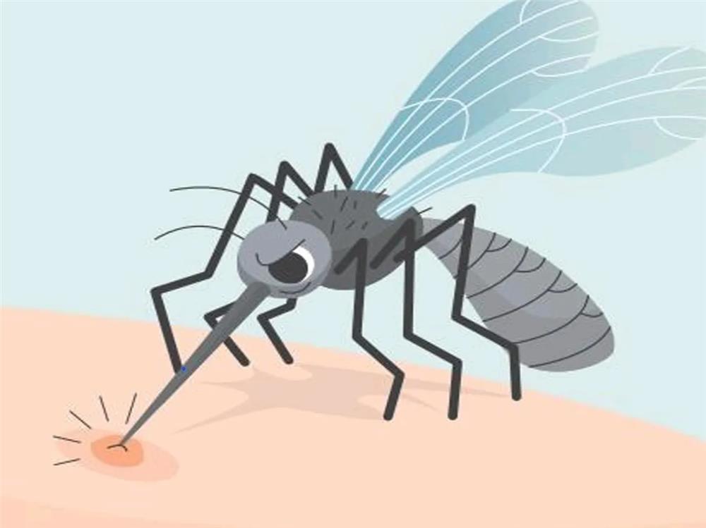 deltio typou