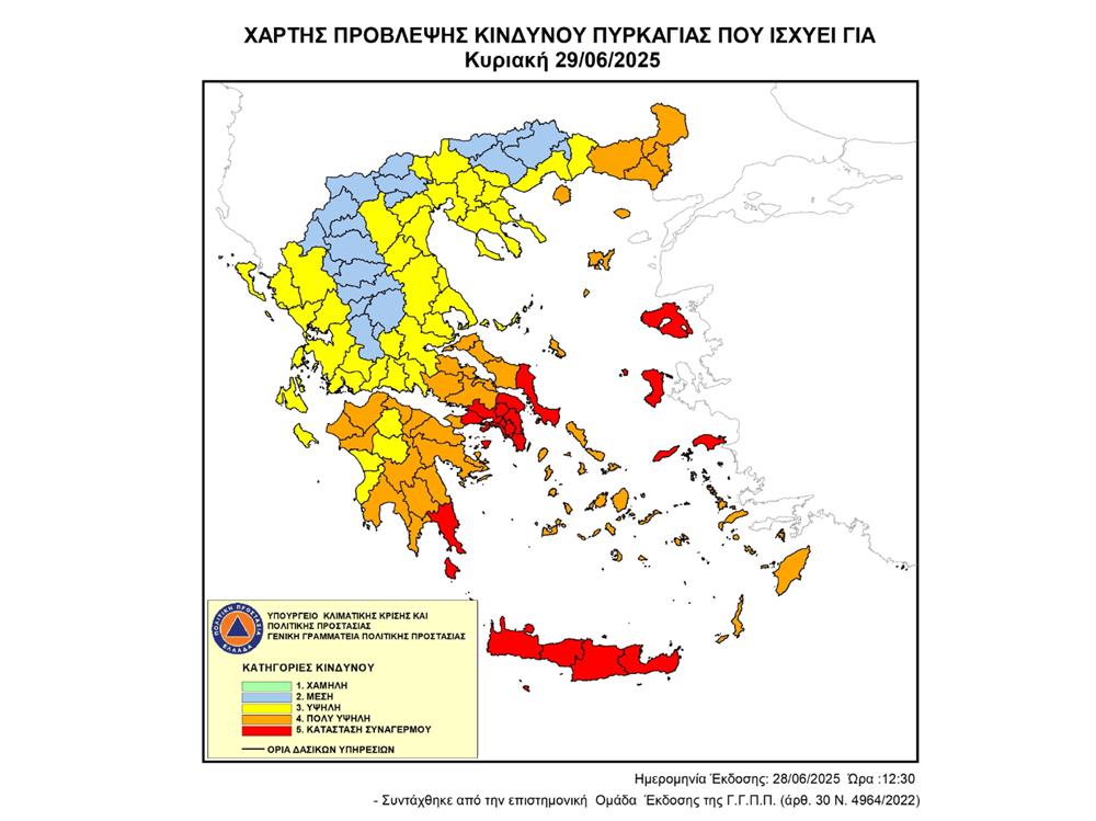 deltio typou
