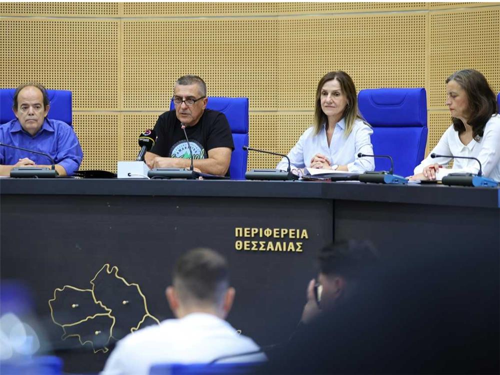 deltio typou