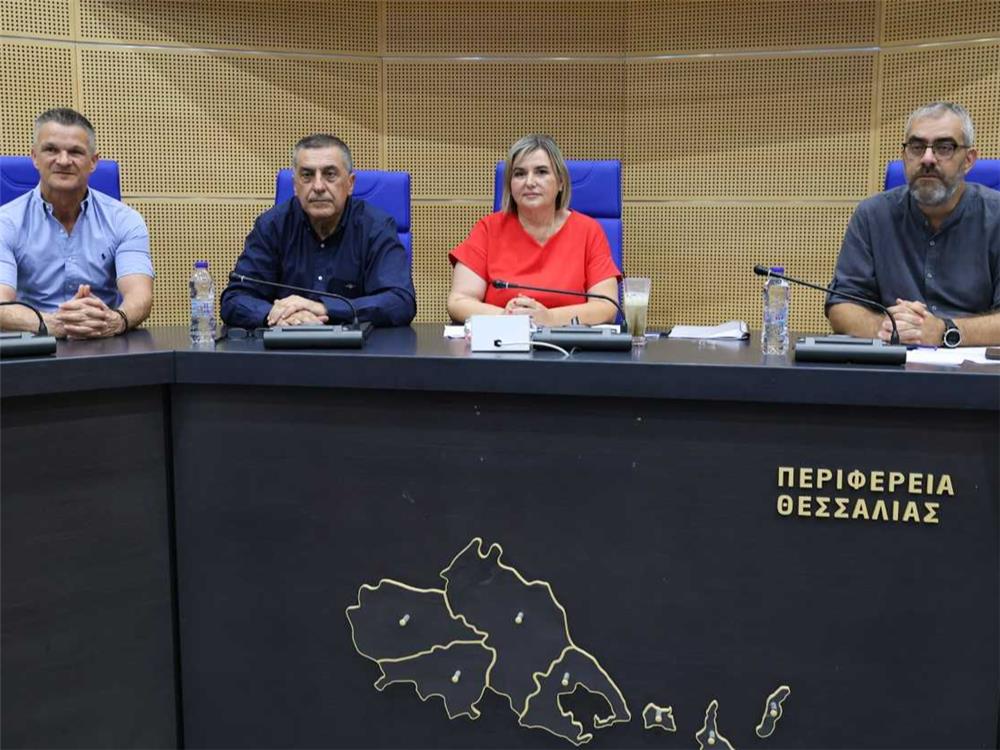 deltio typou