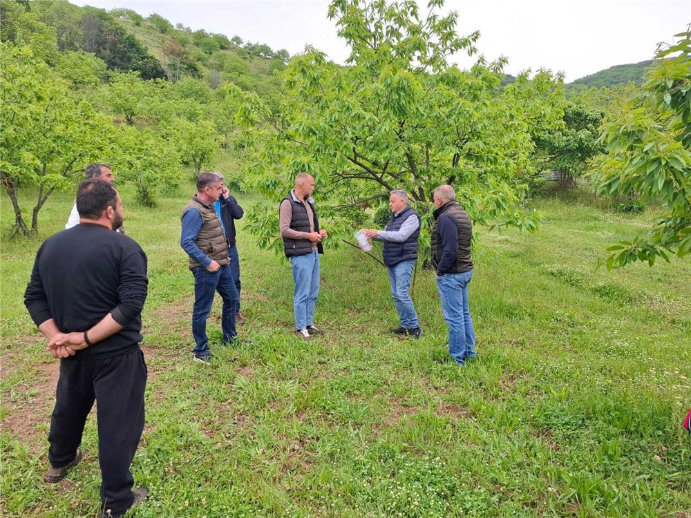 Στο πλευρό των παραγωγών της Αγιάς η Περιφέρεια Θεσσαλίας