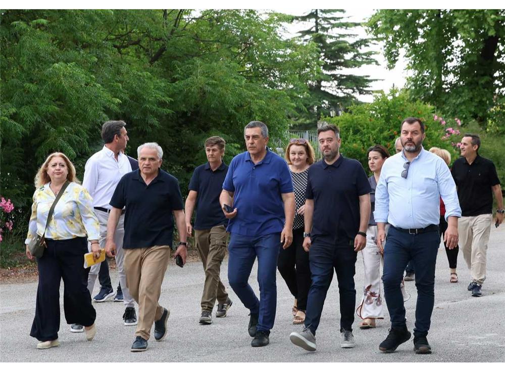 deltio typou