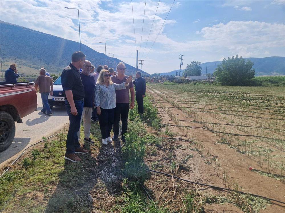Αυτοψία σε πληγείσες καλλιέργειες μετά τα έντονα καιρικά φαινόμενα