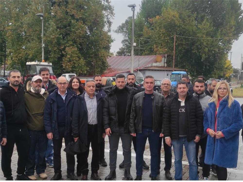 deltio typou