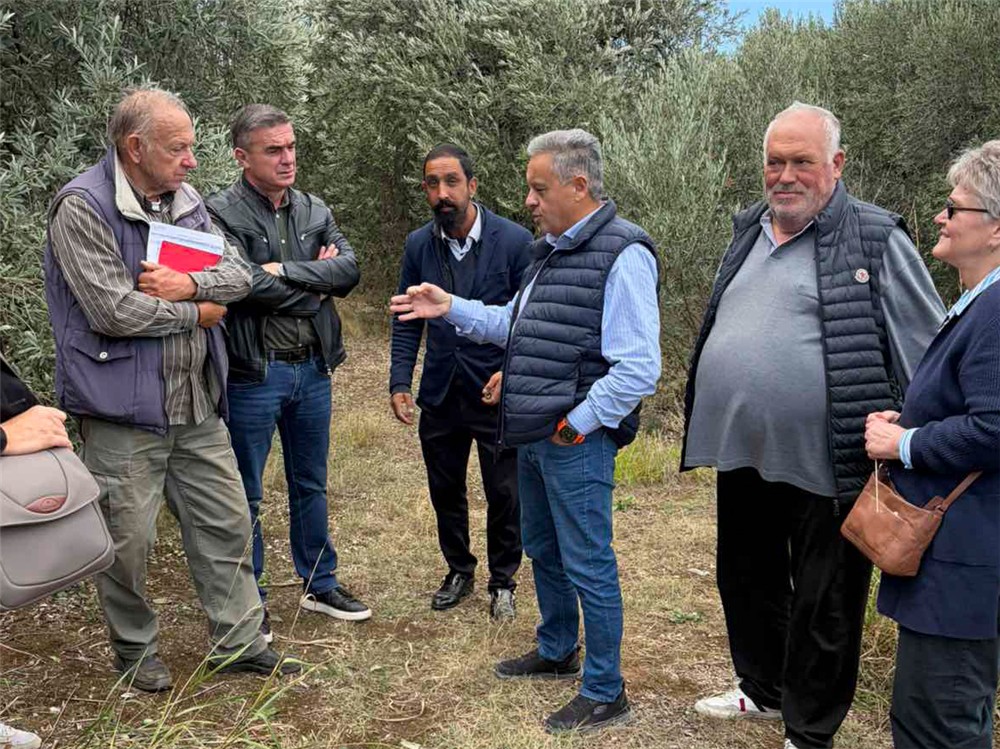 Αυτοψία της Περιφέρειας Θεσσαλίας σε ελαιοπαραγωγικές περιοχές  του Δήμου Αλμυρού
